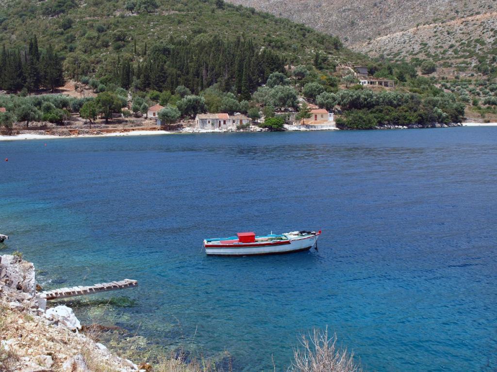 公寓 Niko Studios Lassi (Kefalonia)