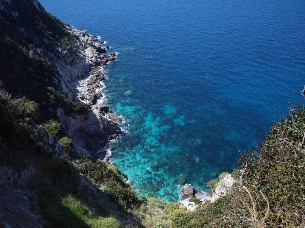 Niko Studios * Lassi (Kefalonia)
